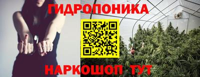 jwh Нальчик
