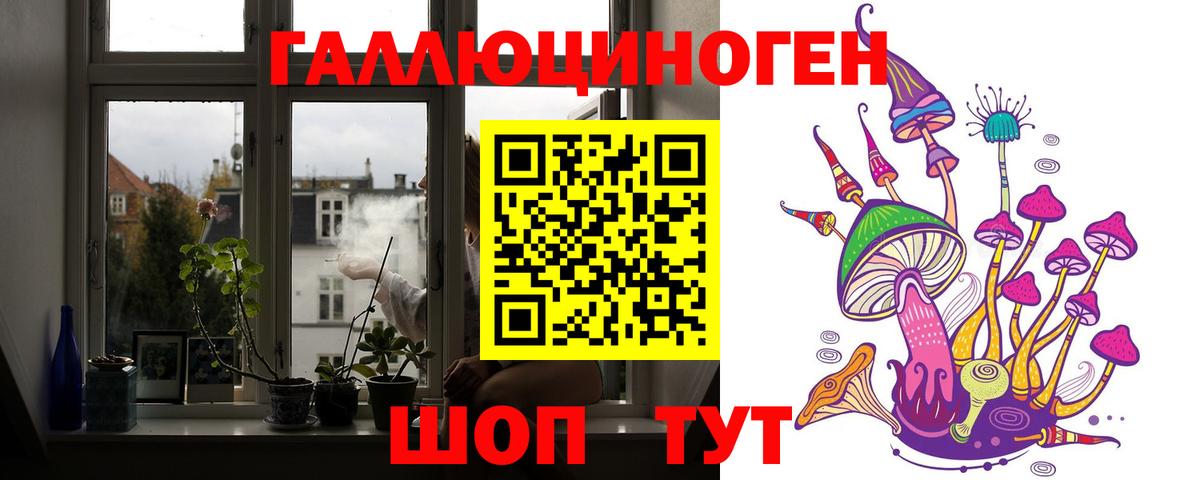 Галлюциногенные грибы Psilocybe Урус-Мартан