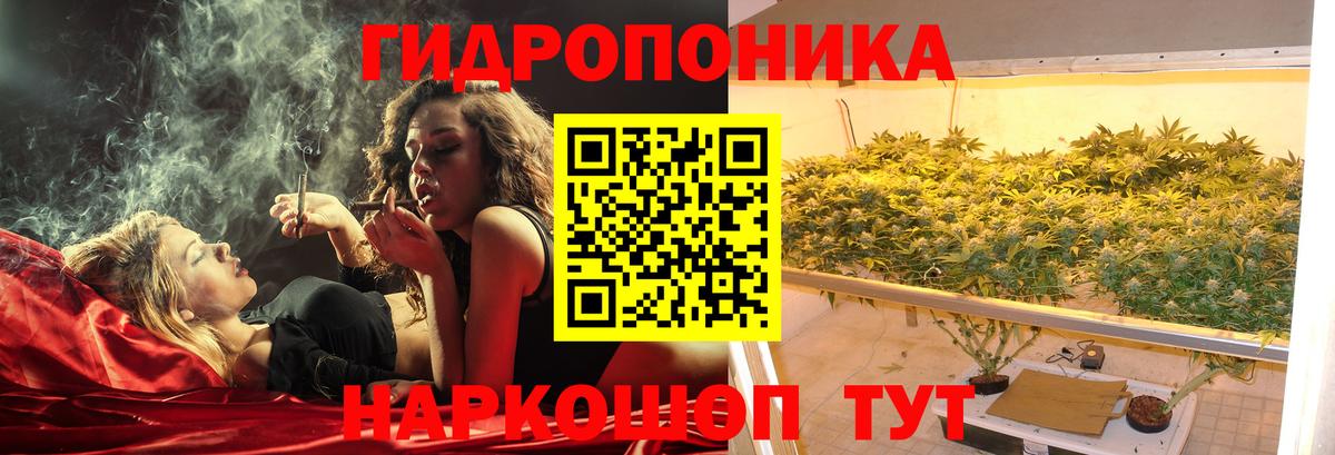 Конопля сатива  Марихуана THC 21%  Урус-Мартан  Вход с VPN  Канабис White Widow 